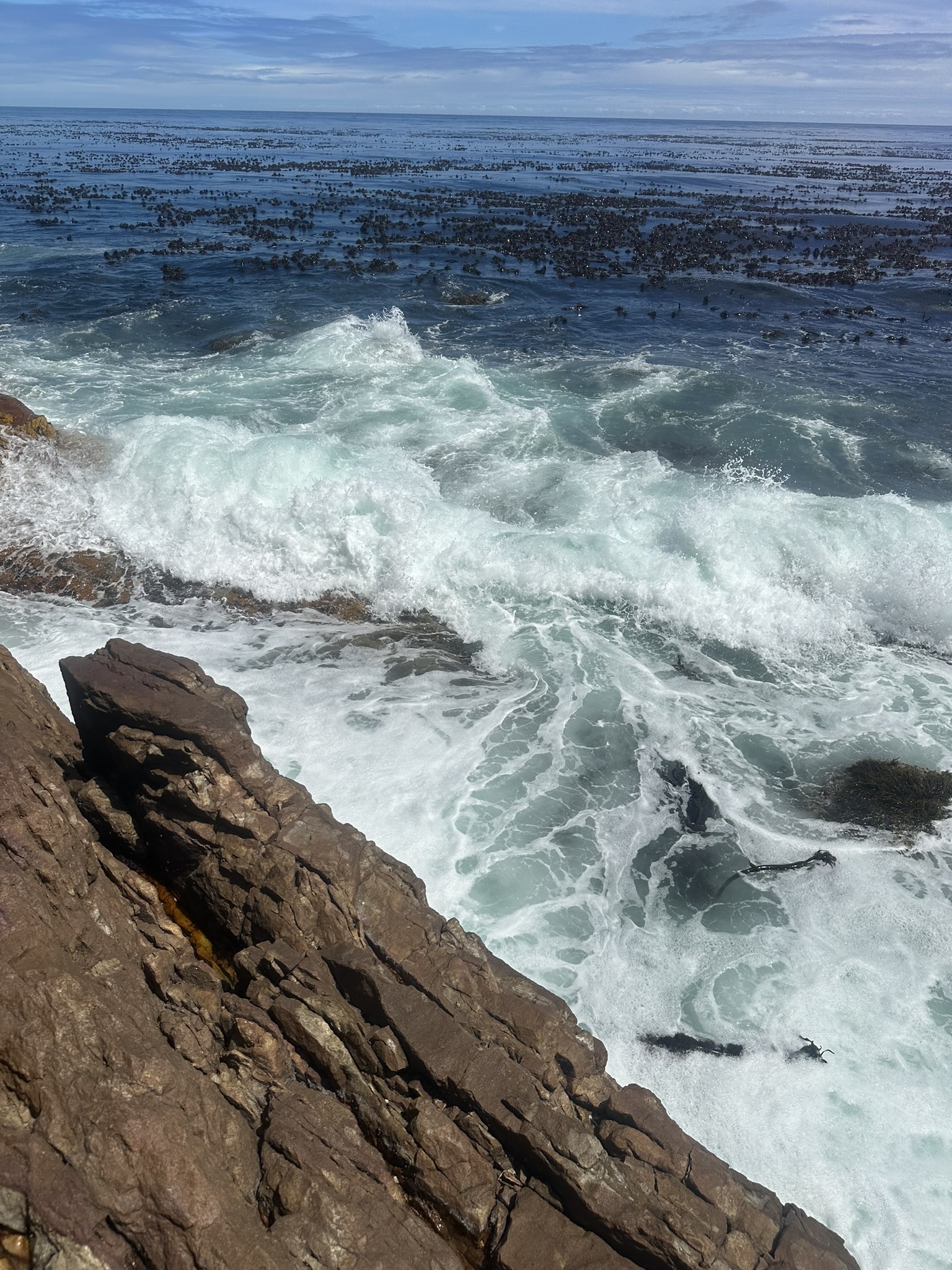 South Africa - Image 410